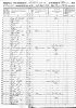 1850 US Census - Sumner, TN - District 13 (p175B)
