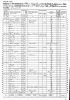 1860 US Census - Louisville, Jefferson, KY - Ward 5 (p135)