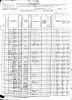 1880 US Census - Frio, TX - District 59 (p619D)