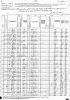 1880 US Census - McLennan, TX - District 109 (p141D)