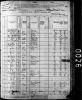 1880 US Census - Pineville, McDonald, MO - District 092 (p229A)