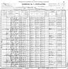 1900 US Census - Danville, VA - Ward 3, District 102 (p9B)