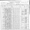 1900 US Census - District 12, Knox, TN - District 82 (p26A)