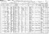 1910 US Census - Ripley, Lauderdale, TN - District 96 (p21A)